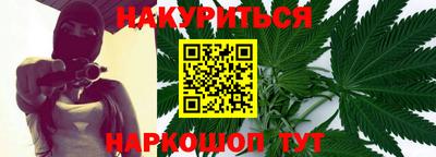 прущие грибы Будённовск