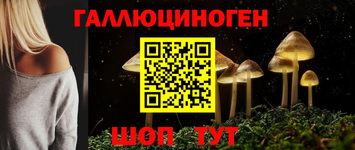 Галлюциногенные грибы прущие грибы Подольск